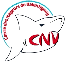 Logo cnv