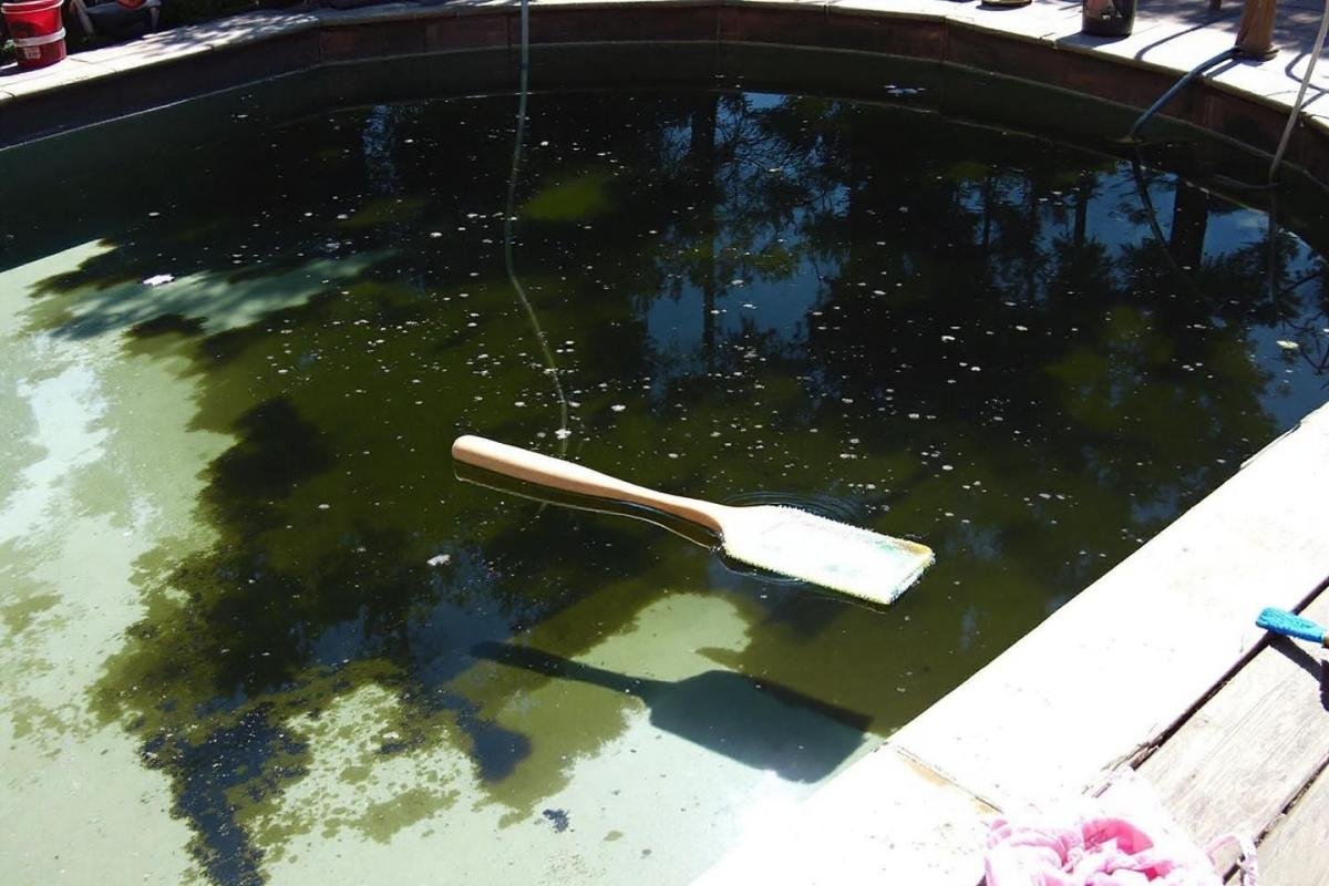 Pourquoi l'eau de ma piscine est trouble​ ?